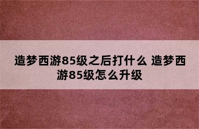 造梦西游85级之后打什么 造梦西游85级怎么升级